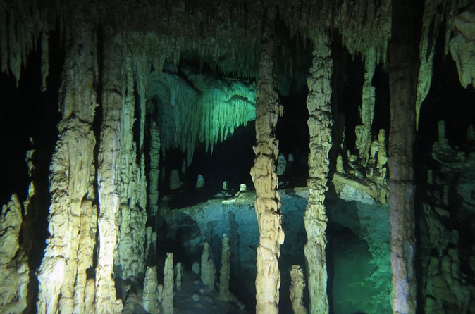 Cenote diving Dream Gate - Price and Value: What $195 Includes (and What It Doesn’t)