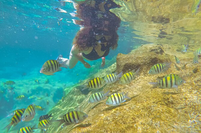 Cenote; Snorkeling and Photos with Colorful Fish - Price, timing, and the small-group flow (8:30am, ~1h30, max 4)