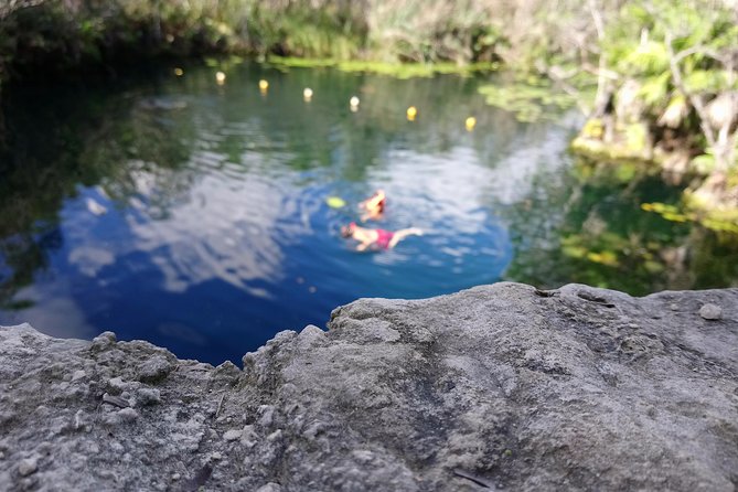Cenote Tankah 4 Cenotes & Zip-Line Mayan Adventure - Price and value: what $189 covers (and what might cost extra)