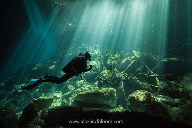 Cenotes 2-Day Scuba Diving Package in the Riviera Maya - Day One: Two Reef Sessions Close to Your Playa del Carmen Base