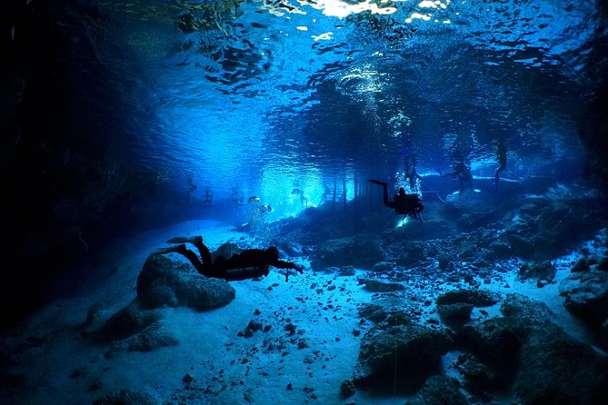 Cenotes 2-Tank Dive in Playa del Carmen/for certified divers only - Chikin Ha stop: getting oriented in a cavern system