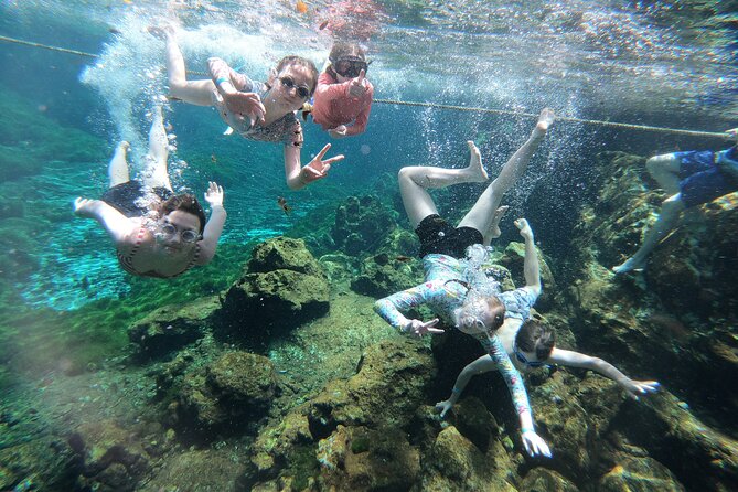 Cenotes by Bike and Mayan Cooking Class Half-Day Guided Tour - Who should book, and who might want a different option