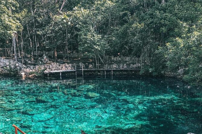 Cenotes Casa Tortuga - Playa del Carmen on La 5ta: shops, beaches, and your one-hour window