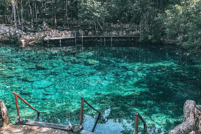Cenotes Casa Tortuga - Lunch and snorkeling equipment: the practical value