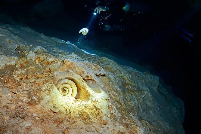 Cenotes diving - Why these Playa del Carmen cenotes feel different from open water