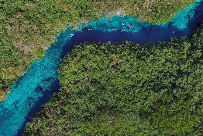 Cenotes diving - Price and value: what $260 buys you in the real world