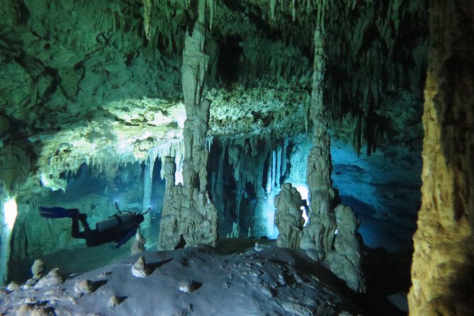 Cenotes diving Dos Ojos and The Bat Cave - Playa del Carmen pickup to Dos Ojos: what your 8:00am actually means