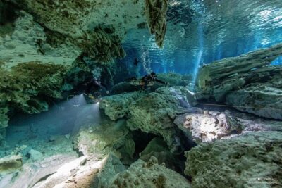 Cenotes diving Dos Ojos and The Bat Cave - Dos Ojos Cenote: Barbie Line light, then Bat Cave darkness