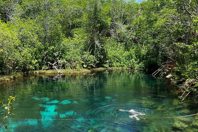 Cenotes Private Tour ( Two Eyes, Jaguar & Nicte-Ha ) - Why Miguel is the kind of guide you want in a cenote