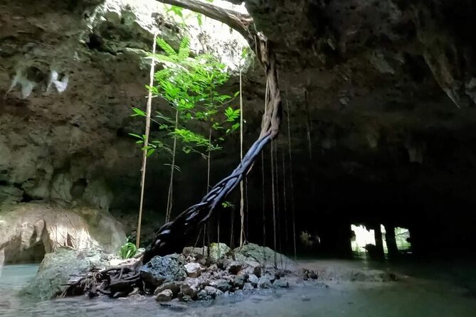 Cenotes Sacactum, Private tour. - Who should book this private cenote swim