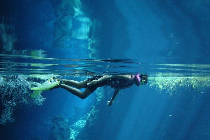 Cenotes snorkeling excursion - Cenotes Snorkeling From Playa del Carmen: What You’re Really Buying