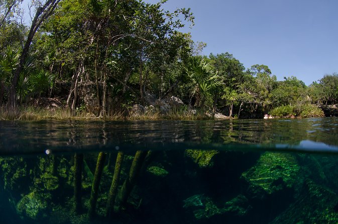Cenotes snorkeling excursion - What You’ll See Under the Ceiling: Stalactites, Stalagmites, and Light