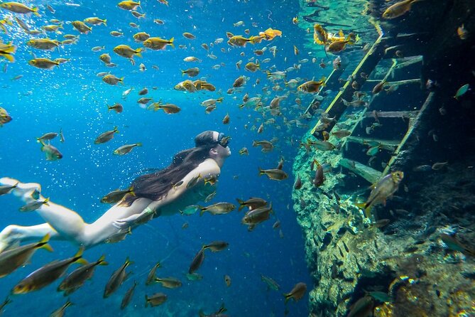 Cenotes Tour: Discover Hidden Gems, from Playa del Carmen - Stop 3: Sombra underground—flashlight swim and claustrophobia reality check