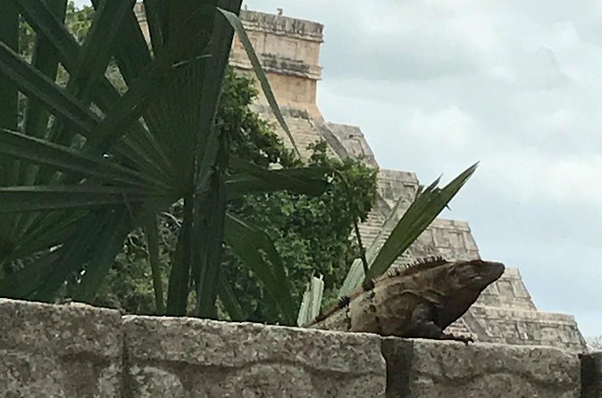Chichen Itza Private experience - Mayapan Traditional Agave Distillery: guided tour and small tasting