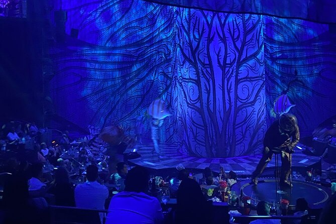 Cirque du Soleil JOYÀ in Vidanta Riviera Maya - Picking the right JOYÀ ticket: show-only vs drinks vs dinner vs VIP