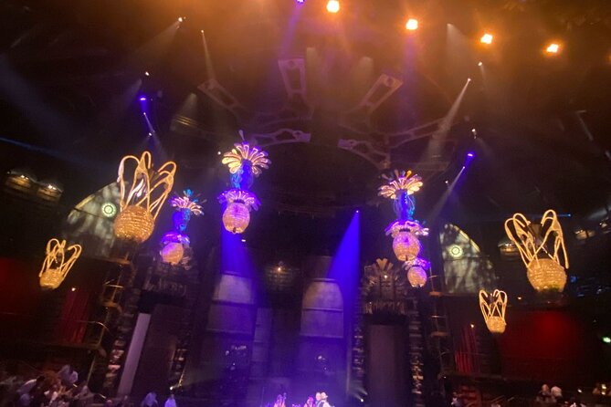 Cirque du Soleil JOYÀ in Vidanta Riviera Maya - Value check: is $216 per person worth it?