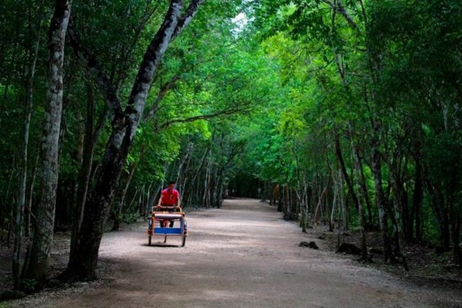 Coba Mayan Ruins and Cenote Cultural Full-Day Tour from Riviera Maya - Transportation and Small-Group Value