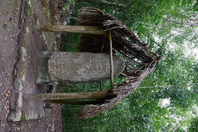 Cobá Ruins Mayan Village and Cenote Tour from Riviera Maya - Things to know before you book