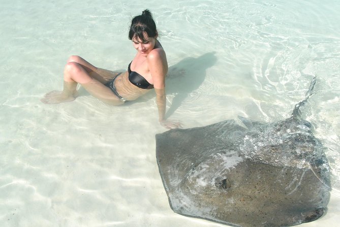 Contoy Island - Key Things to Know Before You Go
