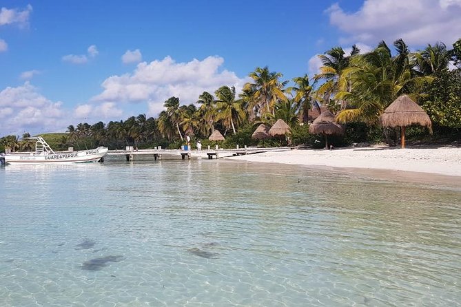 Contoy Island - Isla Contoy National Park: Wildlife, Silence, and a Buffet With a View