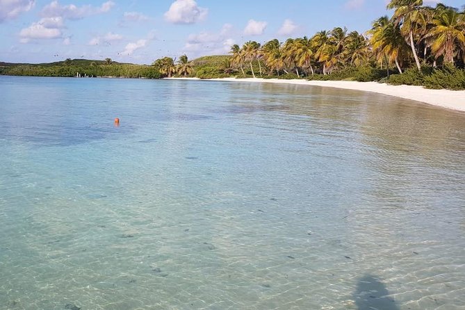 Contoy Island - The 4-Hour Round-Trip Boat Reality From Playa del Carmen