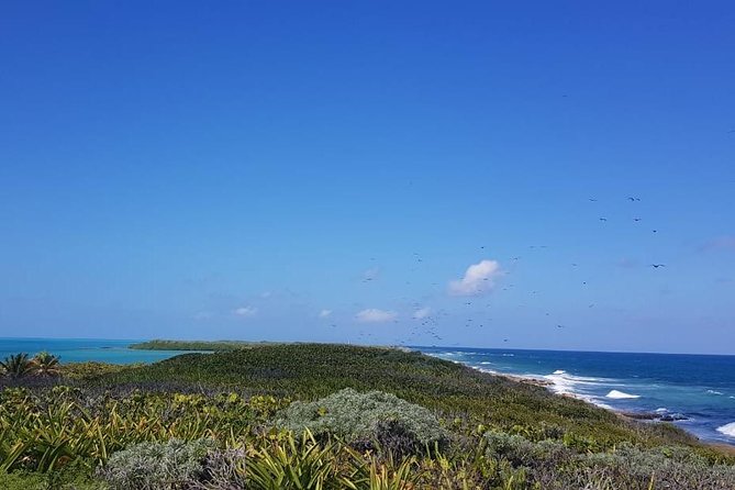 Contoy Island - Price and Value: Is $176 a Fair Deal for This Day?