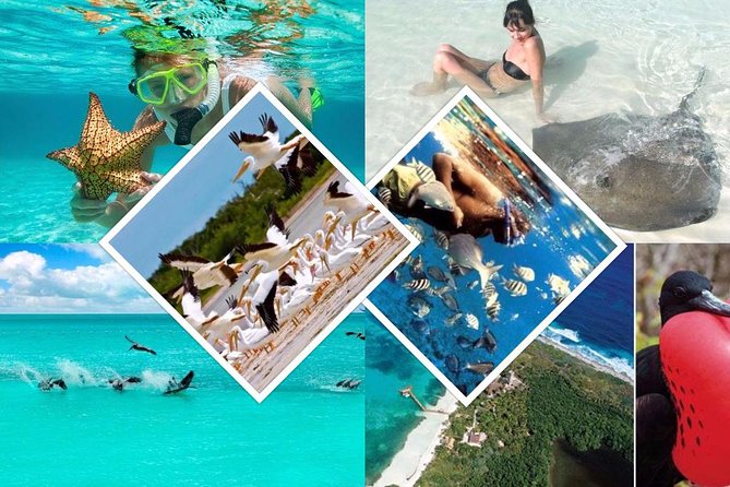 Contoy Island - Isla Mujeres Promenade Break: Calm Playa Norte Time