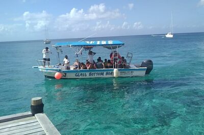 Cozumel El Cielo Tour by Boat from Playa del Carmen & Transfer - Snorkeling at Playa El Cielo: Heaven, Palancar, Colombia
