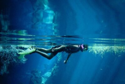 Cozumel Snorkeling Tour from Playa del Carmen - Pickup from Playa del Carmen: where the day starts