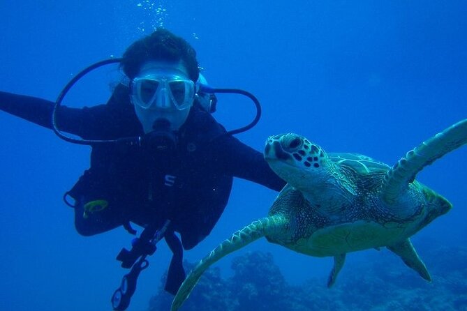 Discover Scuba Diving & Beach Club with Transportation In Riviera Maya - Who this is best for (and who should skip it)