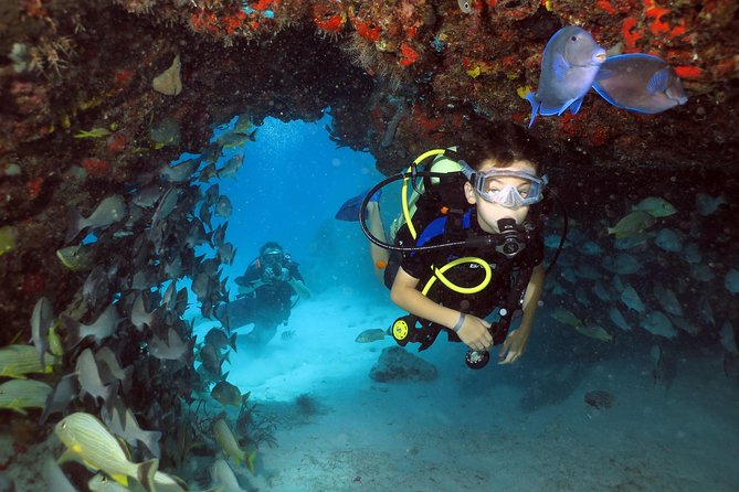 Discover Scuba Diving Course in Playa del Carmen with Two Coral Reef Dives - Morning class + pool skills: what you learn before the reef