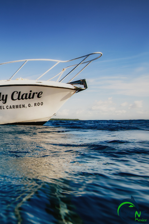 Discover Scuba Diving in Playa del Carmen - 2 dives - PADI Discover Credit: How This Helps Your Next Step