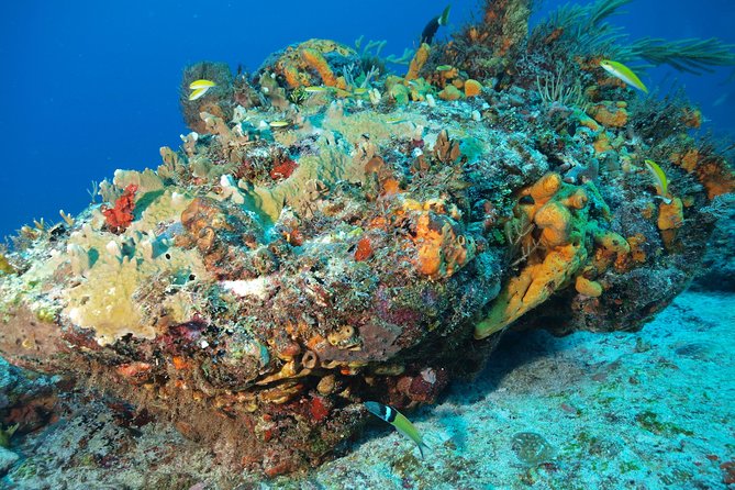 Discover Scuba Diving PADI in Playa del Carmen including underwater video - Why Diversland’s PADI Intro Works for First Timers