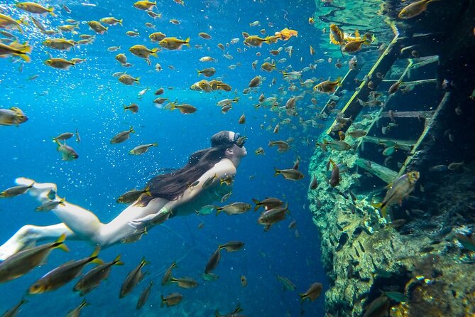 Dive into Tulum: Tour 3 Cenotes, from Riviera Maya - What’s Included: Van Pickup, Guide, Food, and Swim Gear