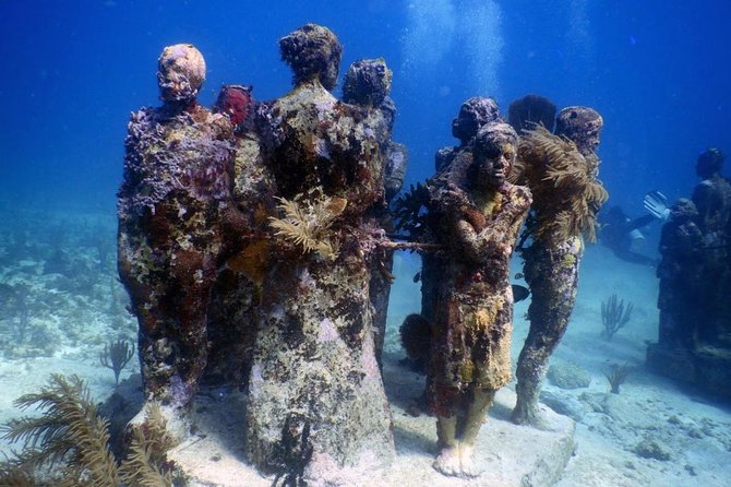 Diving in Cancun Underwater Museum of Art - Reef time after the museum: get your bearings and see classic habitat