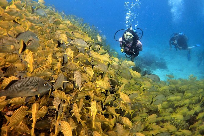 Diving in Cancun Underwater Museum of Art - Gear, weights, and the kind of instruction that matters