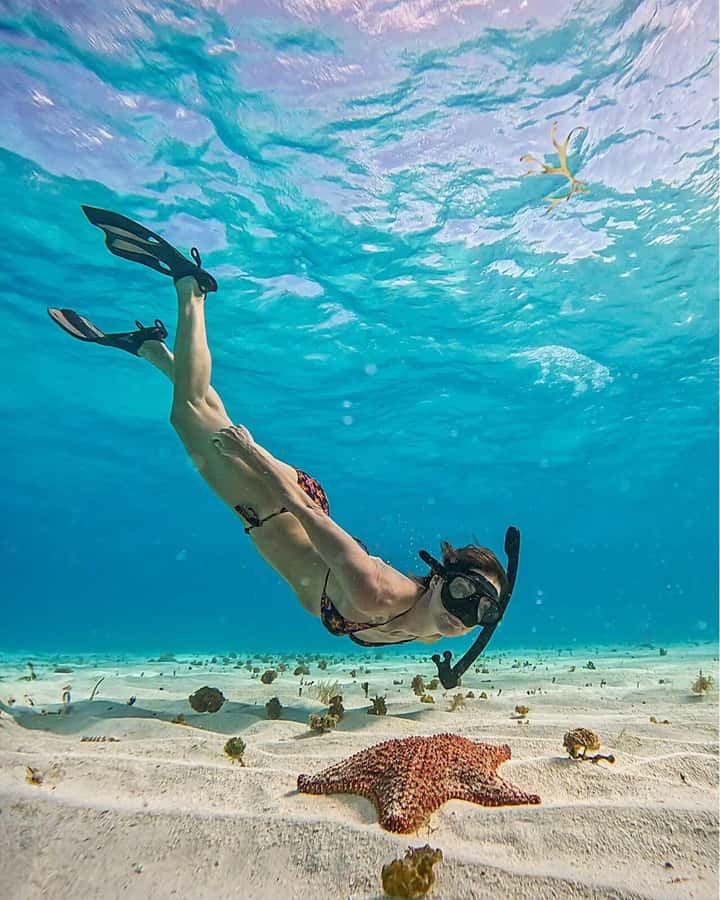 El Cielo and El Cielito in Cozumel with Beach Club, Food, and Open Bar - Key things to know before you go