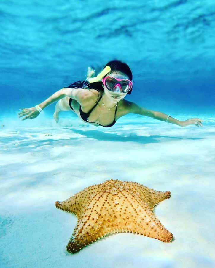 El Cielo and El Cielito in Cozumel with Beach Club, Food, and Open Bar - Why This Cozumel Catamaran Works for a One-Day Getaway