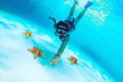 El Cielo and El Cielito in Cozumel with Beach Club, Food, and Open Bar - Ferry Time From Playa del Carmen: The Part You Can’t Skip