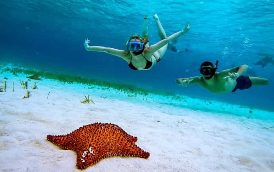 El Cielo and El Cielito in Cozumel with Beach Club, Food, and Open Bar - The Value Question: About $180 per Person