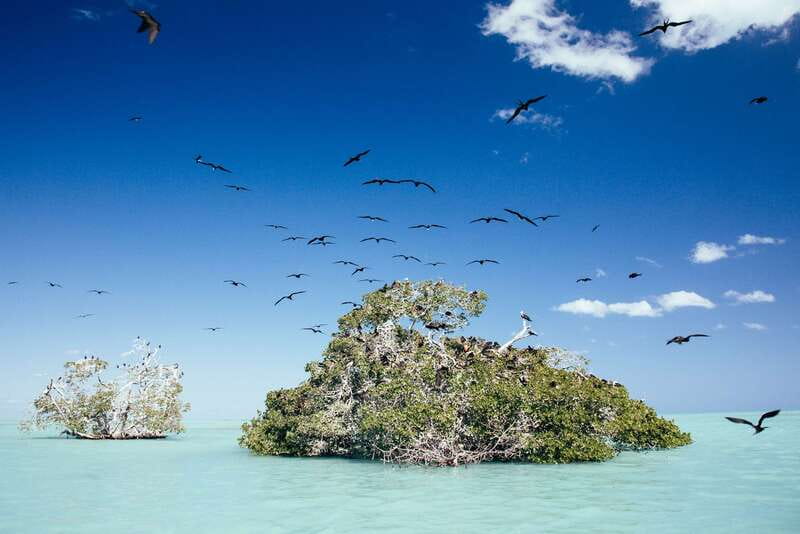 Exclusive Full Day Nature Expedition in Sian Ka'an - Key Things to Know Before You Go