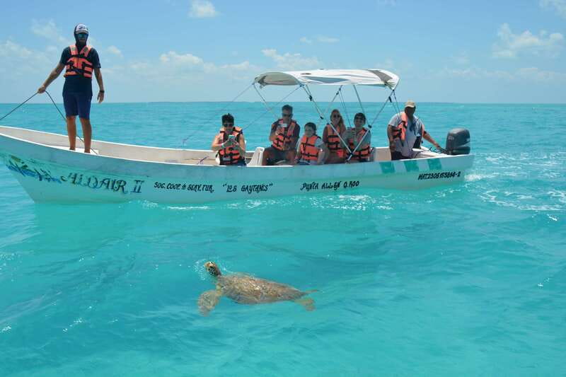 Exclusive Full Day Nature Expedition in Sian Ka'an - Mangrove Estuaries by Boat: Wildlife Viewing Time