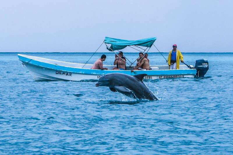 Exclusive Full Day Nature Expedition in Sian Ka'an - Coral Reef Snorkeling Near Punta Allen: Time in the Protected Water