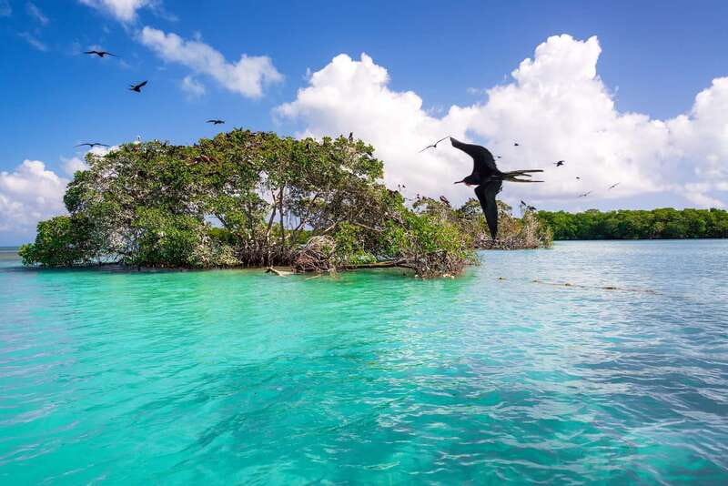 Exclusive Full Day Nature Expedition in Sian Ka'an - Price and Logistics: The Value Math (and the Extras)