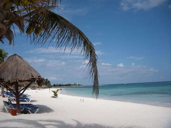 Exotik half a day tour: Cenote Cave and Swimming with Sea Turtles - Key points before you go