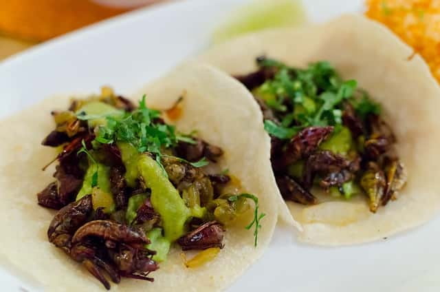 Food Hoppers 2.5-Hour Tour in Playa del Carmen - Cochinita pibil, tamales, esquites: the core flavors that make it memorable