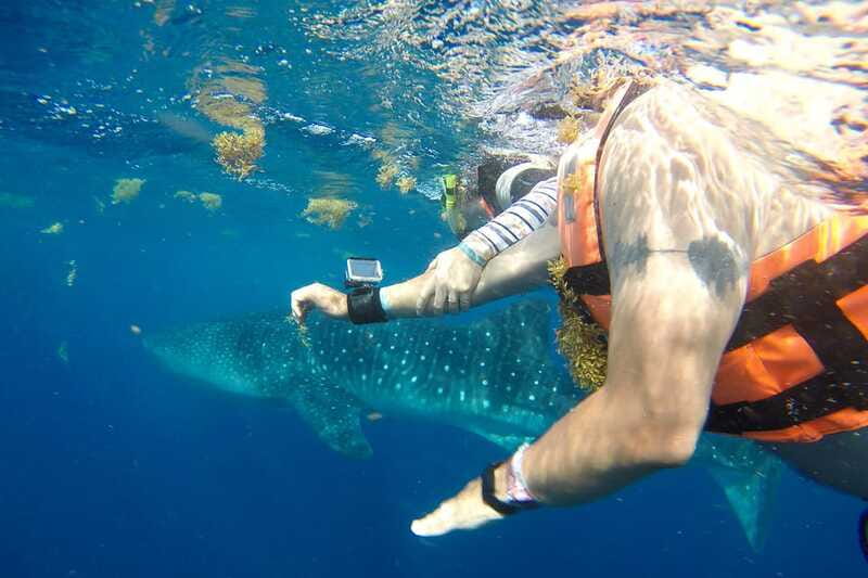 From Playa del Carmen: Whale Shark Tour - Isla Mujeres Playa Norte: the lunch-and-reset part of the day