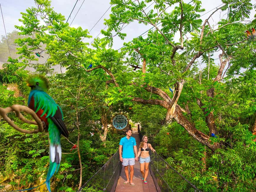 From Playa del Carmen: Xcaret Park All-Inclusive - What you’re really paying for: value at $165 per person