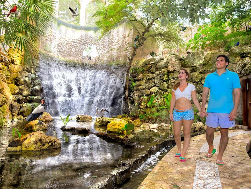 From Playa del Carmen: Xcaret Park All-Inclusive - Underground rivers and cenotes: the main event worth timing well