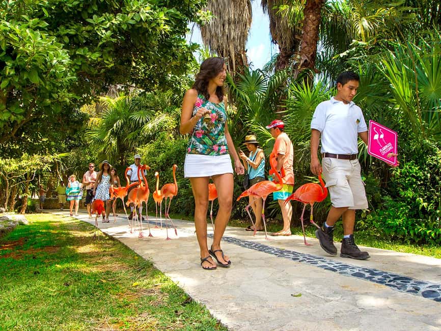 From Playa del Carmen: Xcaret Park All-Inclusive - The big family option: Children’s World without losing your own plan